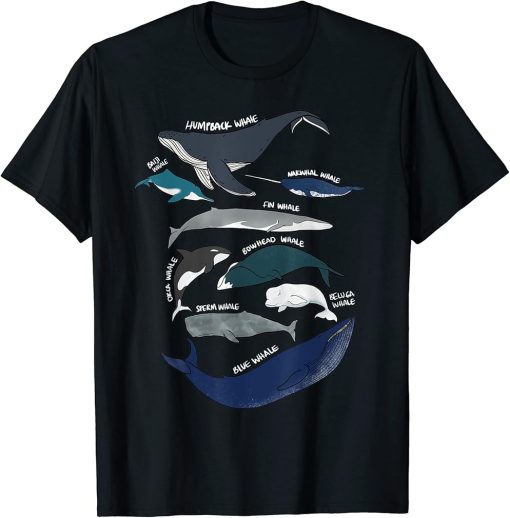 9 Types of Whales Shirt - Whale Breeds Species - Whale Lover